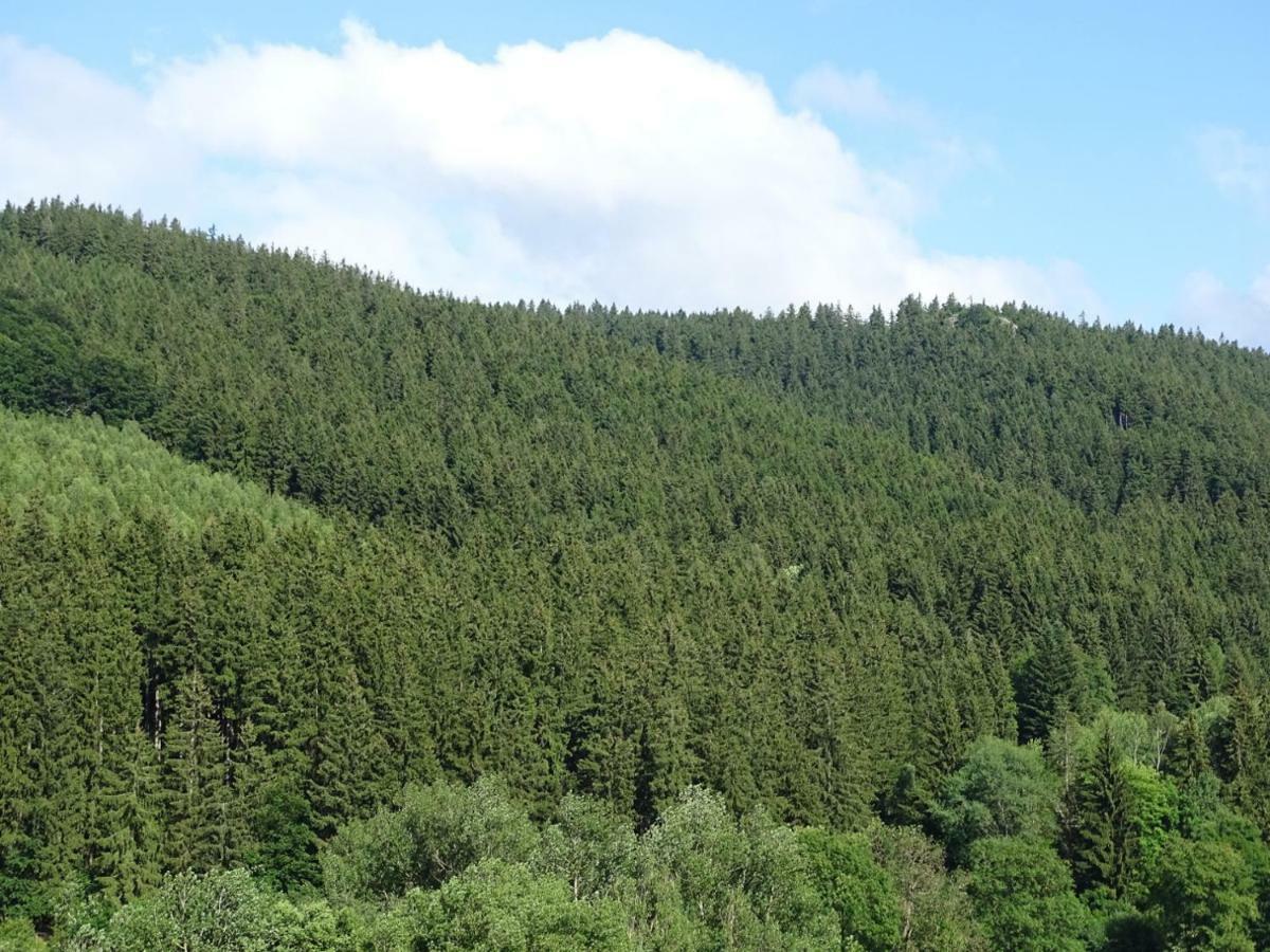 Ferienwohnung Am Berggrabenweg Ilmenau Luaran gambar